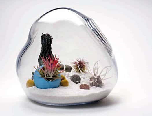 featured posts image for Unique living terrariums for your home