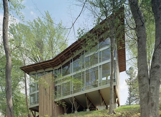 featured posts image for Butterfly house in the forest