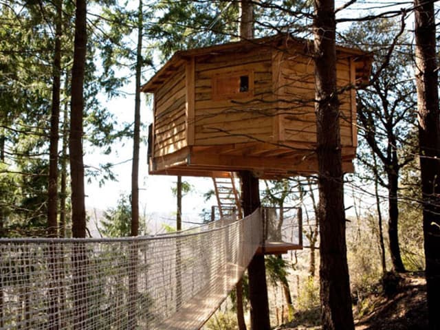featured posts image for Nested huts hanging in the trees