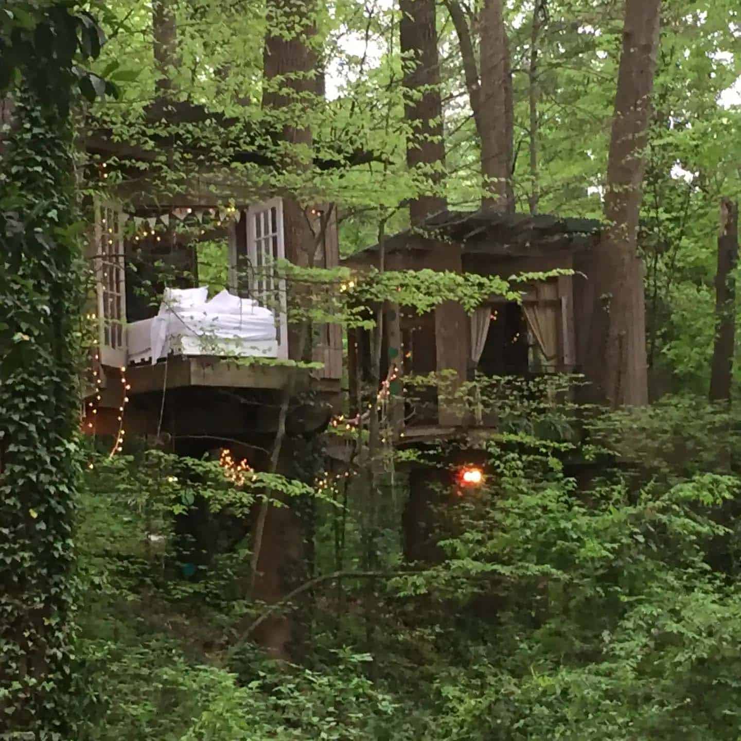 treehouse exterior in a forest 