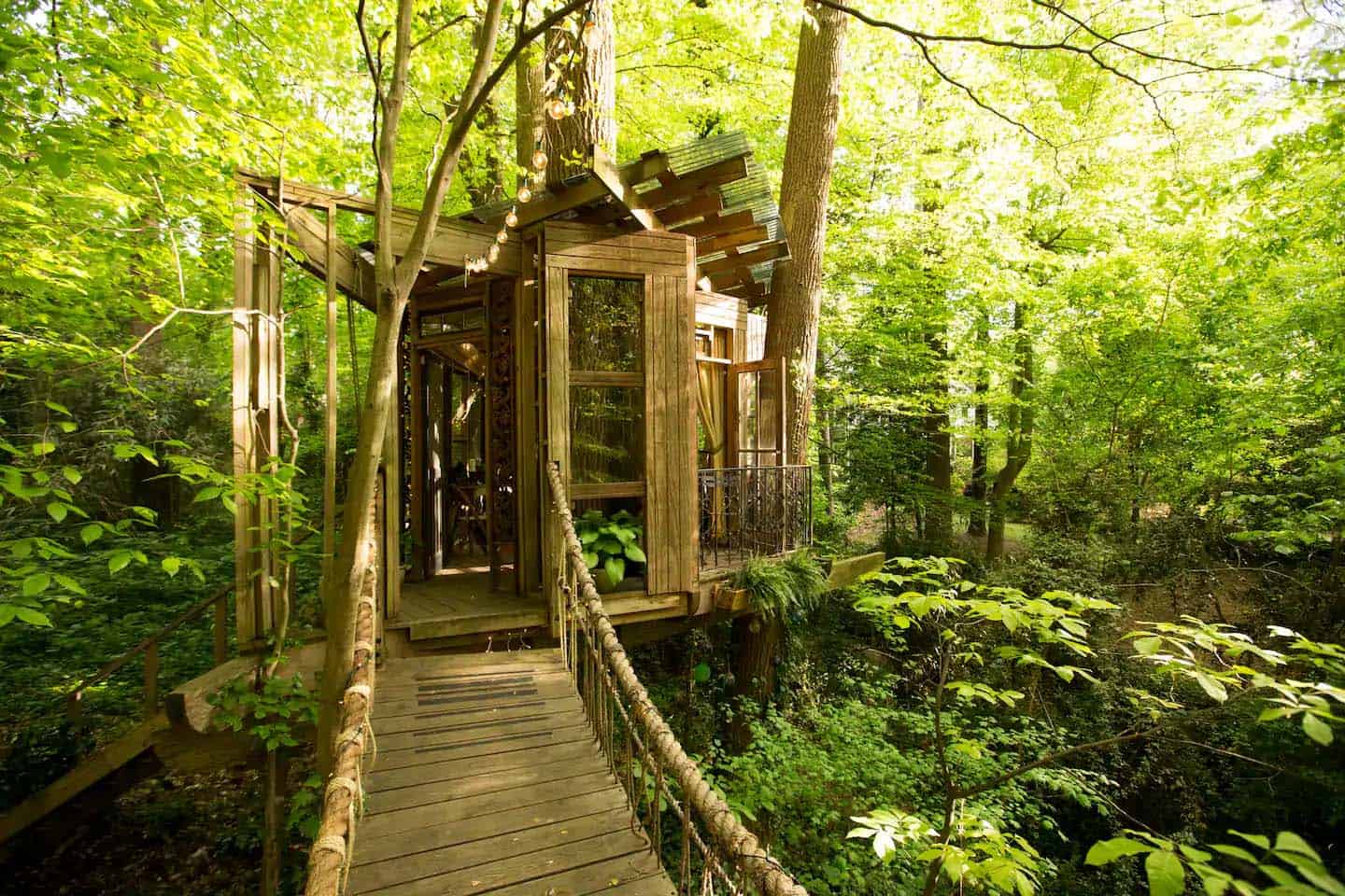 treehouse exterior with a hanging rope bridge