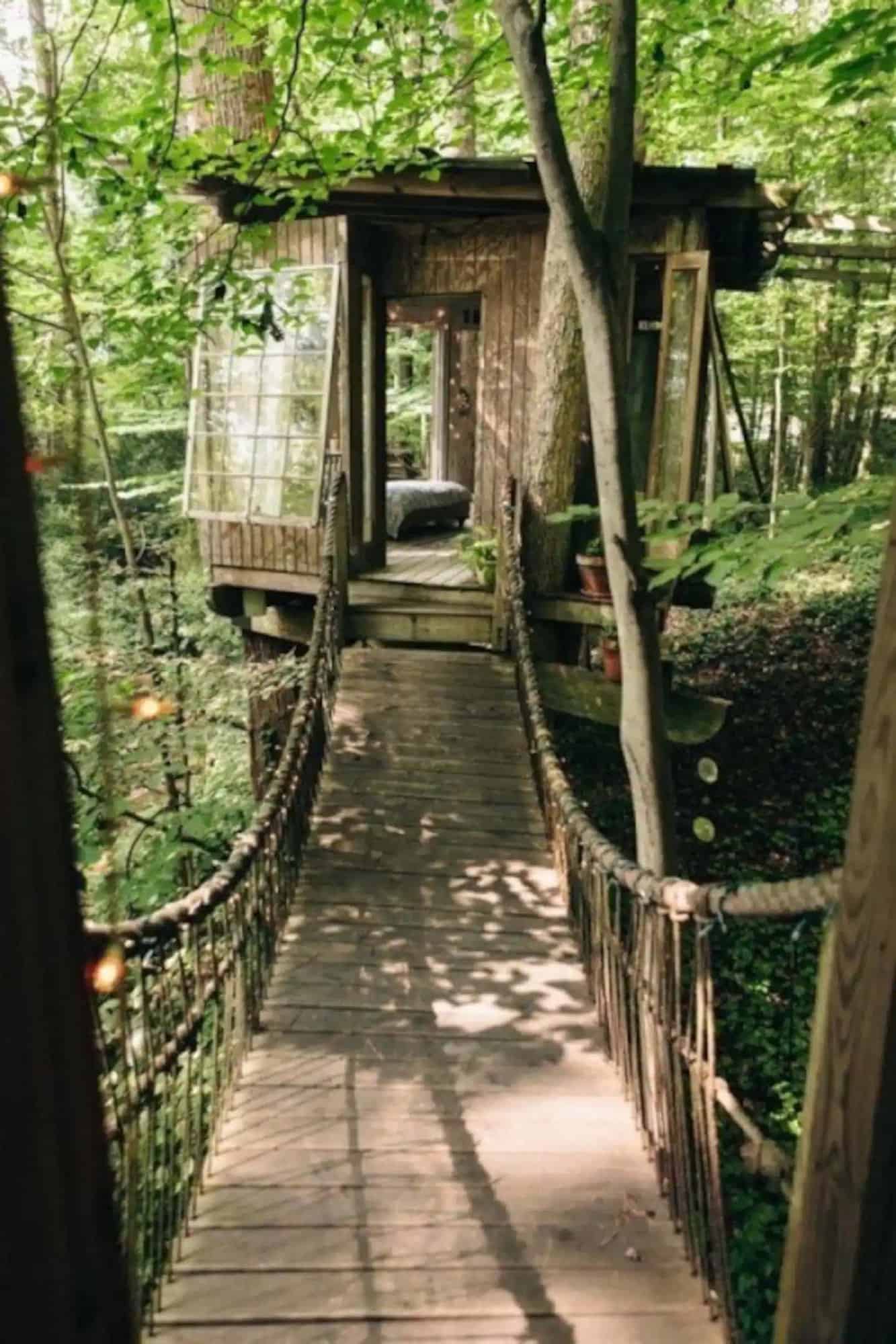 treehouse exterior with a hanging rope bridge