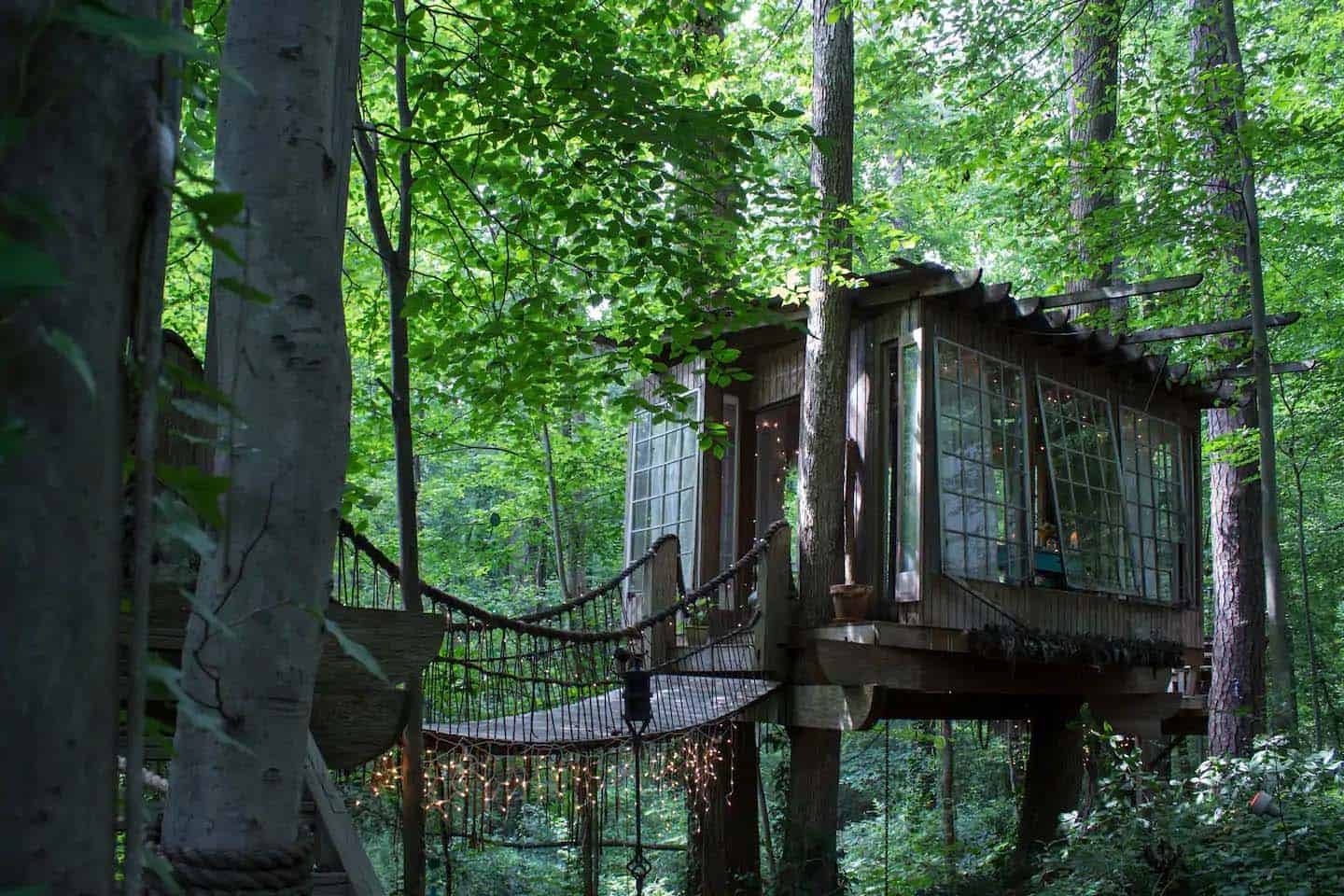 treehouse exterior in the forest