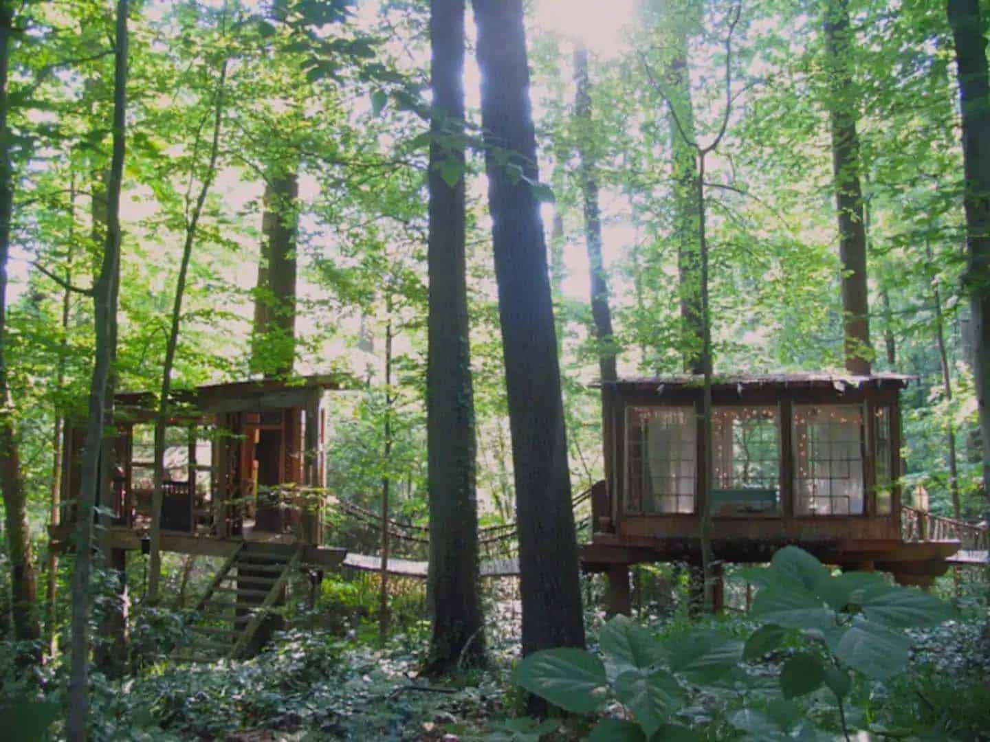 treehouse exterior in the forest