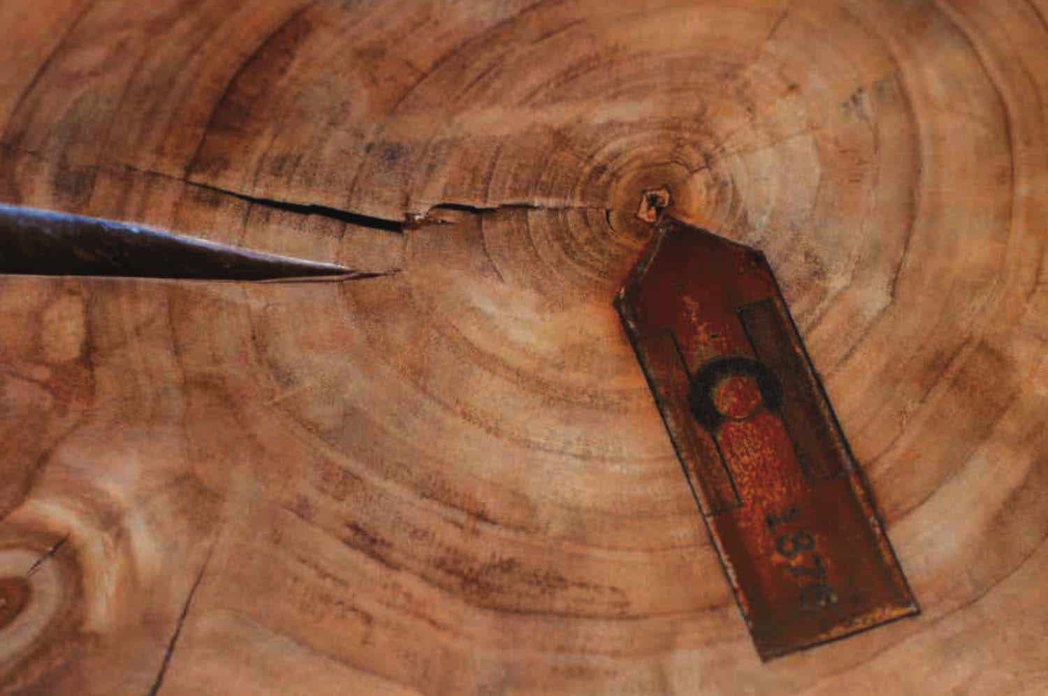 rustic-kitchen-countertop-wood-detail
