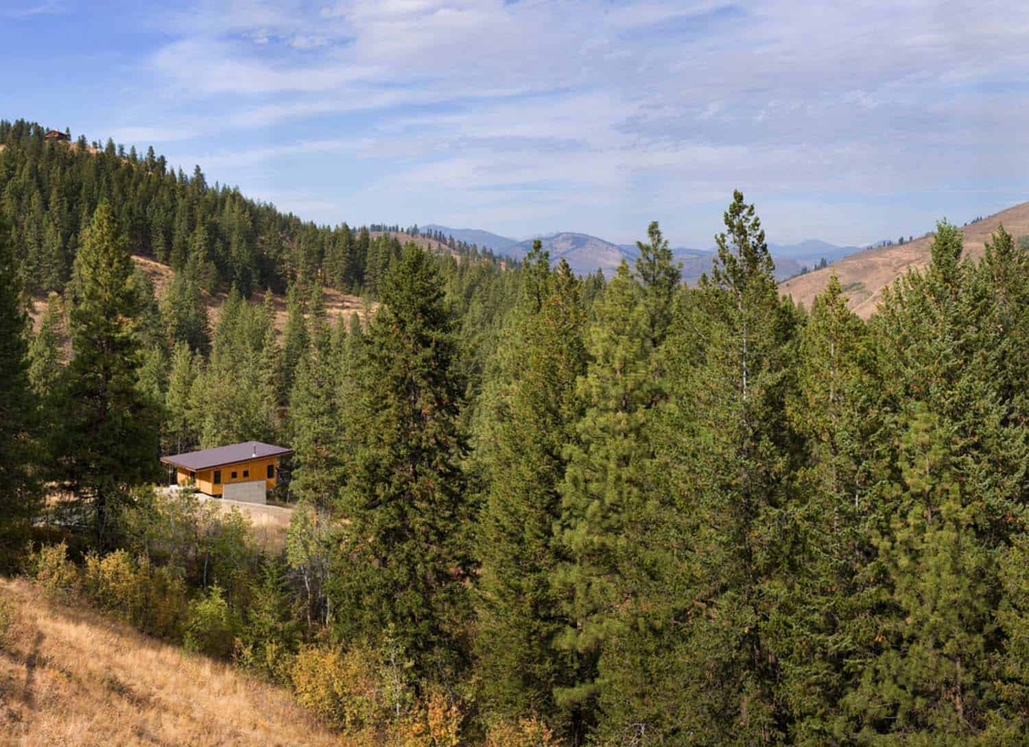 Natural Modern Forest Cabin-Prentiss Balance Wickline Architects-18-1 Kindesign