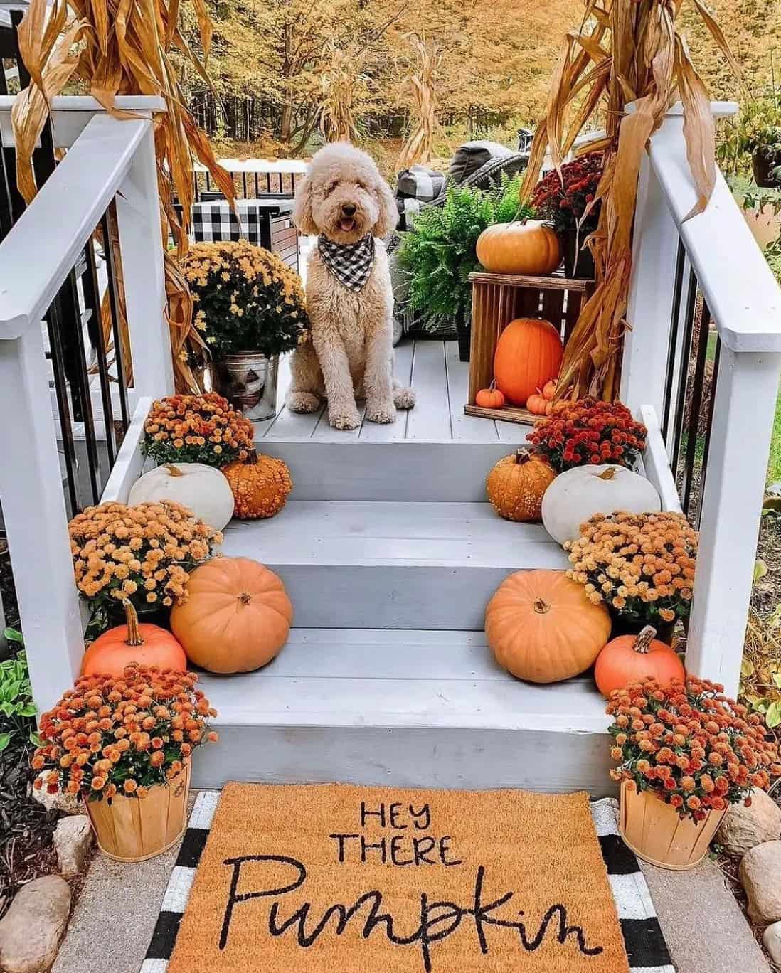 cozy-fall-home-decorating-with-pumpkins