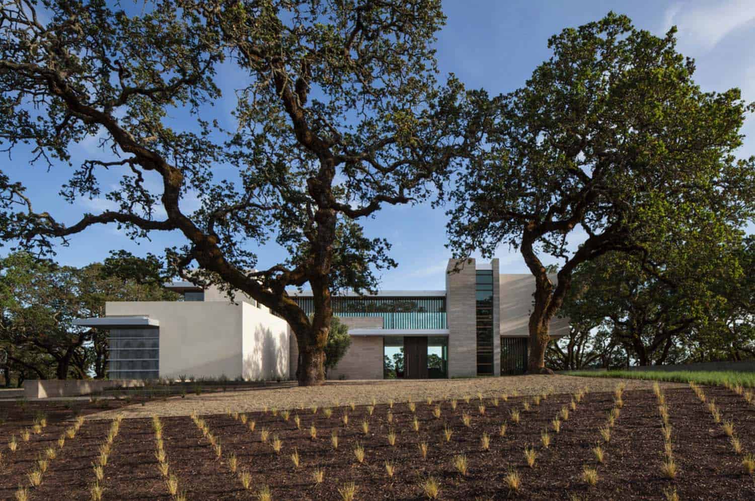 vineyards-residence-modern-exterior