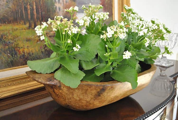 beautiful-spring-decorating-dough-bowl