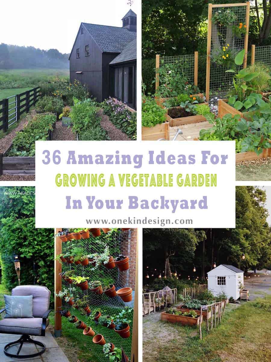 36 amazing ideas for growing a vegetable garden in your backyard