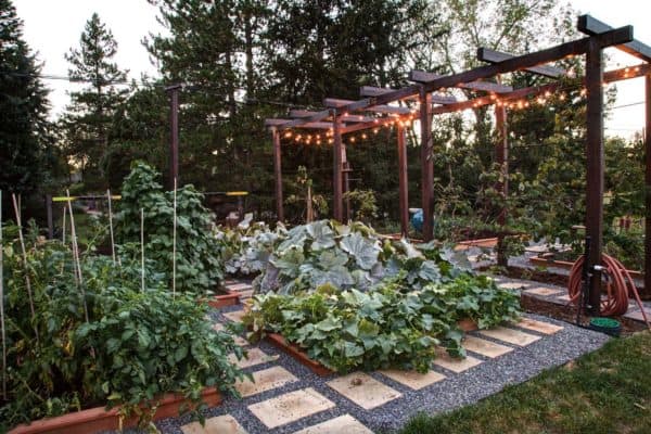 featured posts image for 36 Amazing Ideas For Growing A Vegetable Garden In Your Backyard