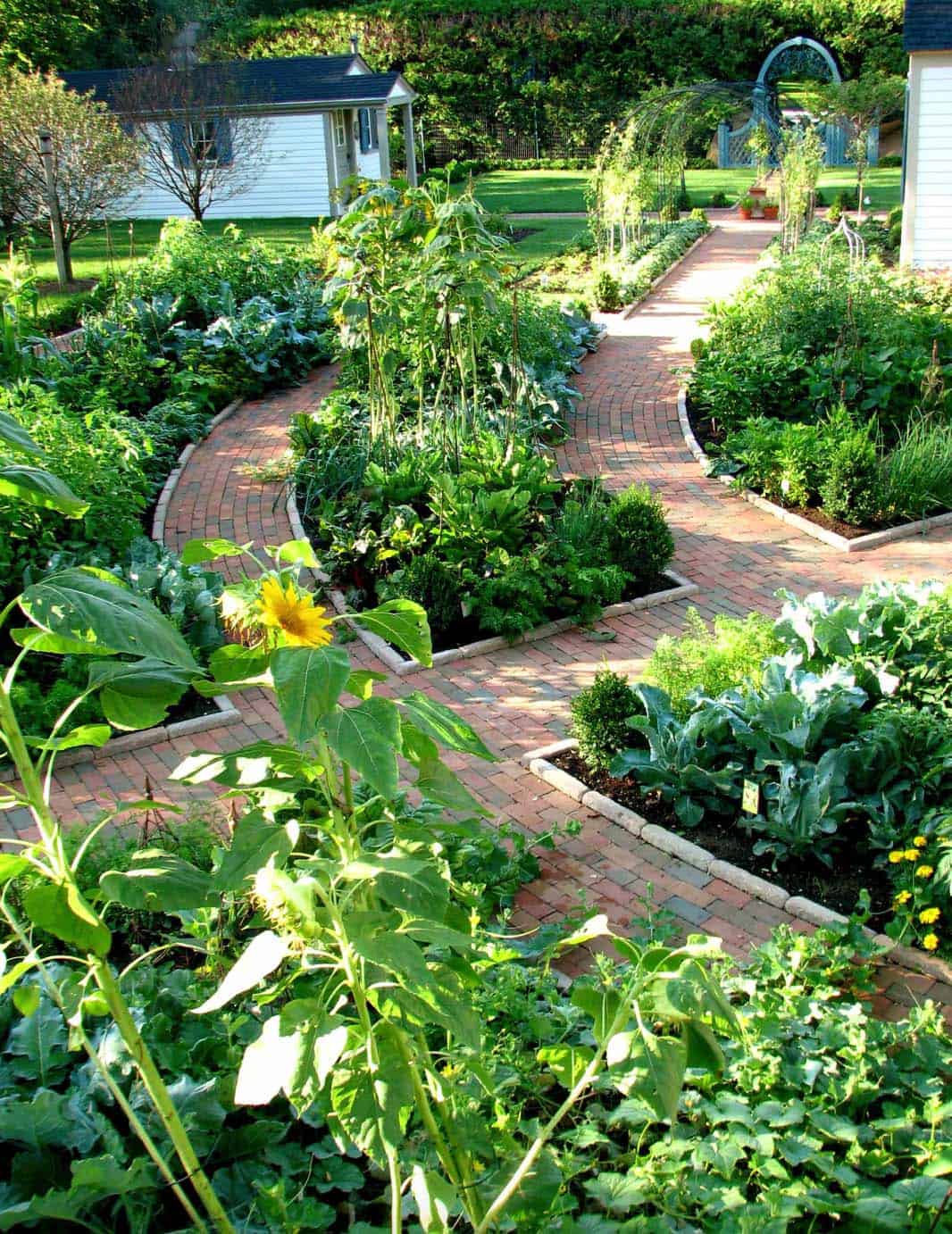 36 Amazing Ideas For Growing A Vegetable Garden In Your Backyard