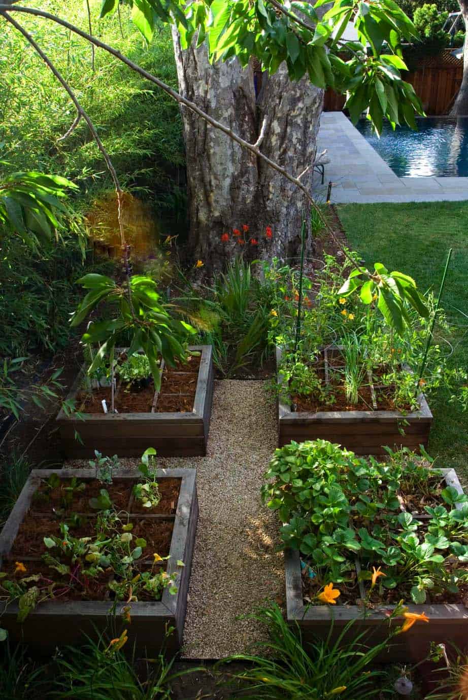 inspiring-vegetable-garden-ideas