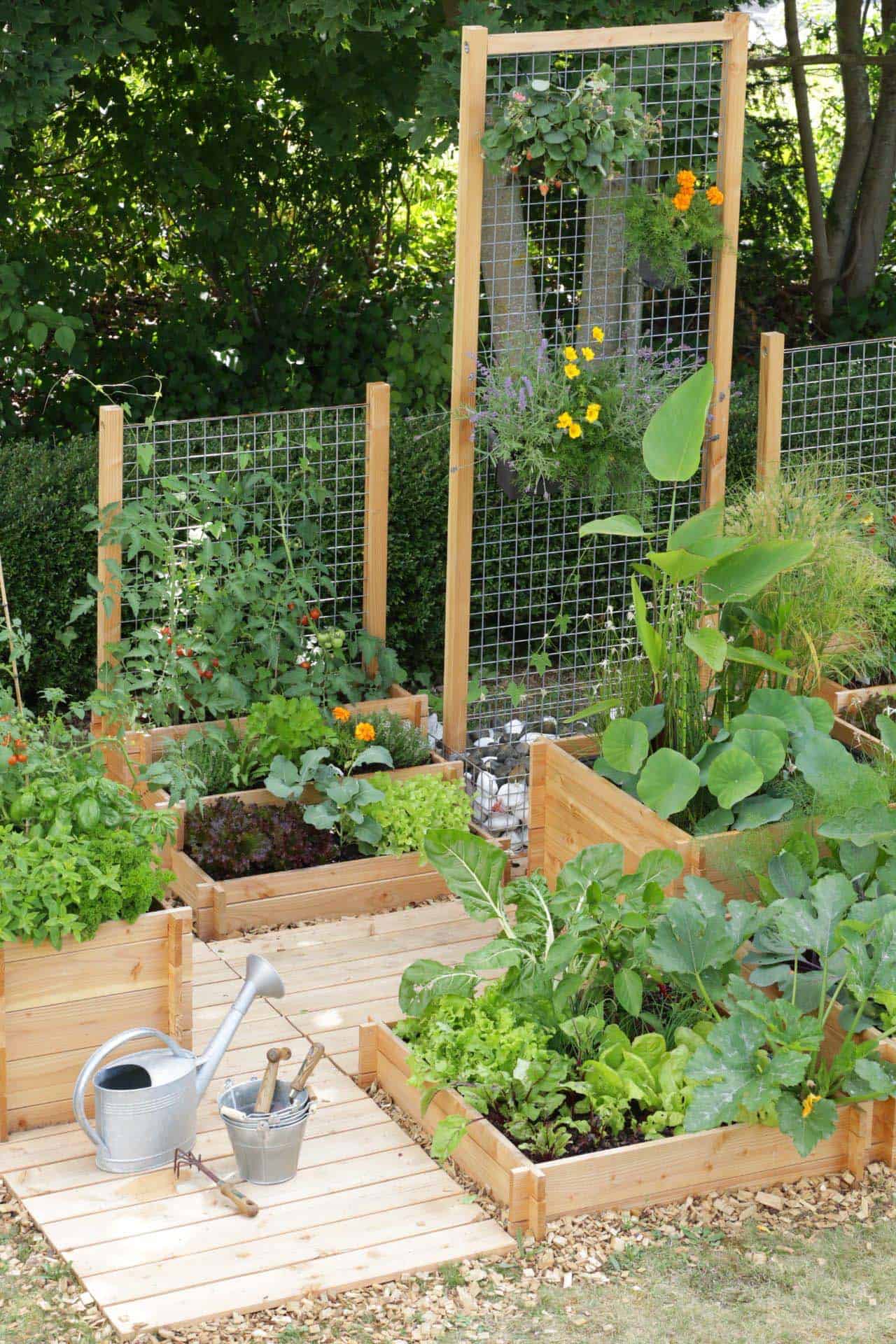 30 Amazing Ideas For Growing A Vegetable Garden In Your ...