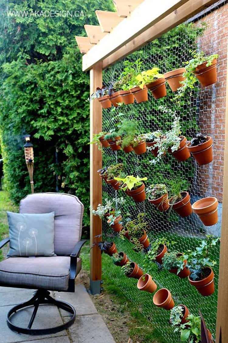 inspiring-vegetable-garden-ideas