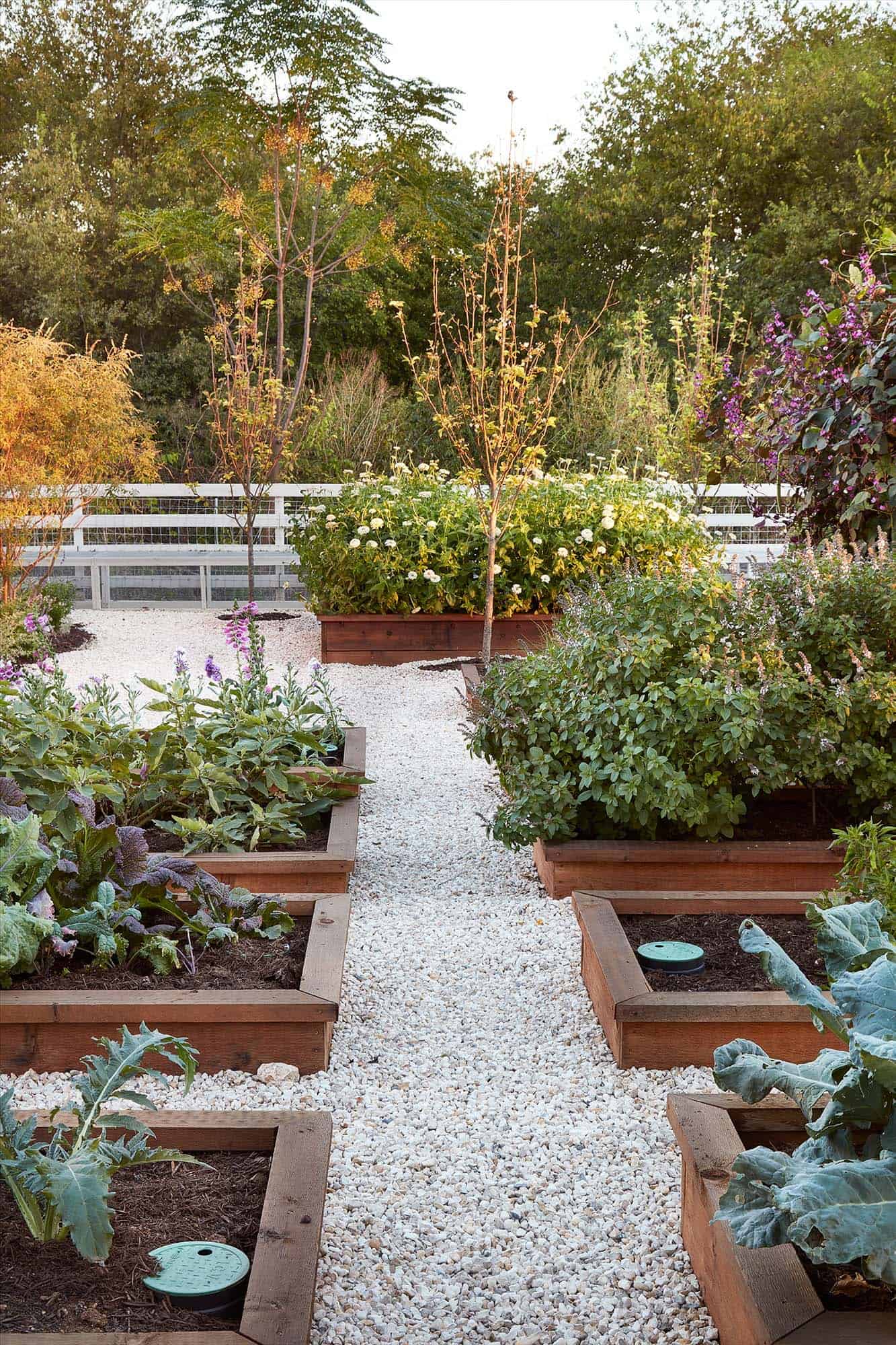 30 Amazing Ideas For Growing A Vegetable Garden In Your ...