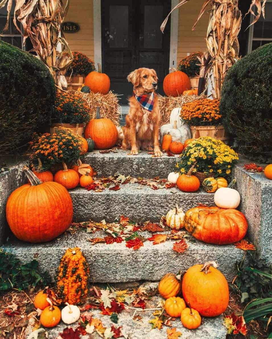front-porch-decorating-ideas-for-fall