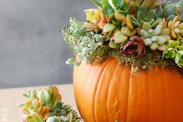 featured posts image for 18 Absolutely Clever Thanksgiving Decor Ideas To Try This Holiday