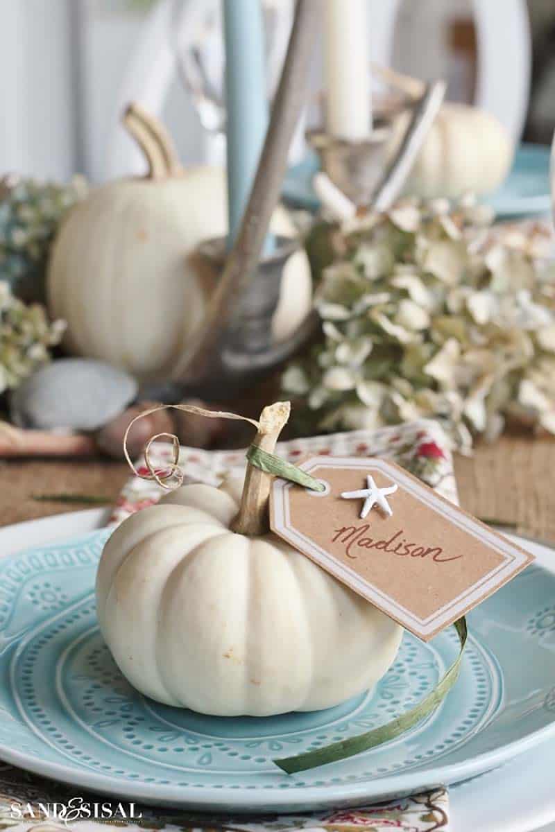 creative-thanksgiving-place-card-ideas-beach-theme-white-pumpkin