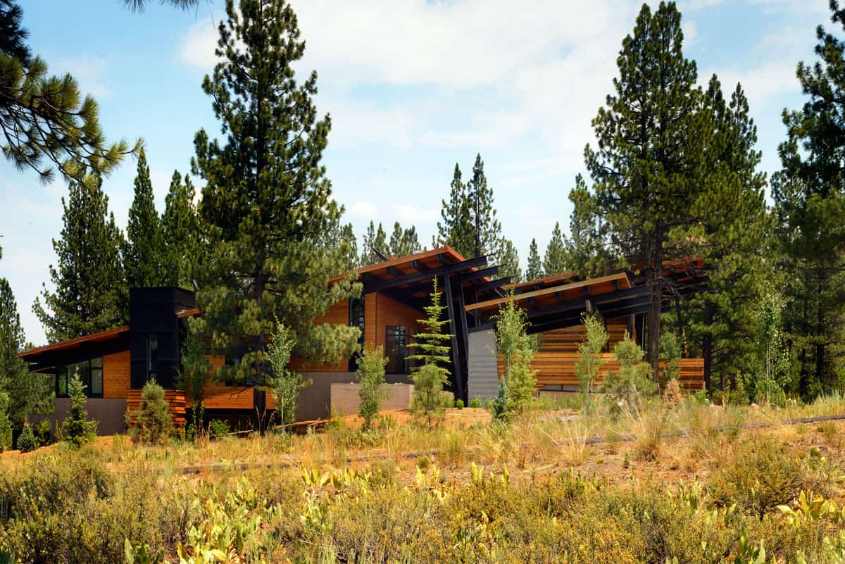 modern-forest-home-exterior