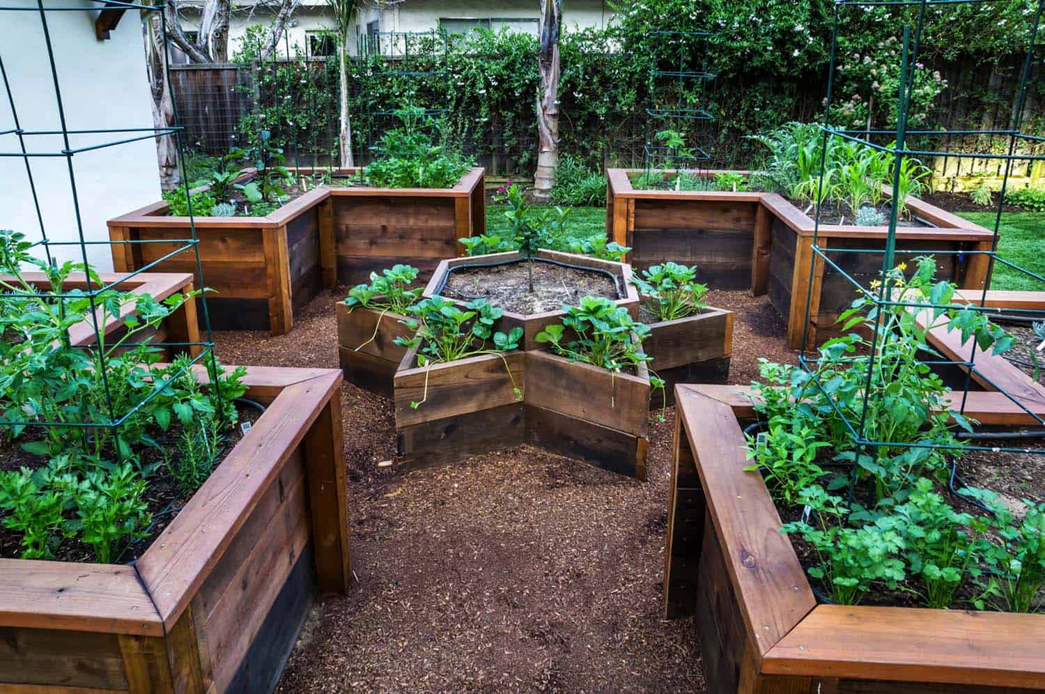 20+ Creative and Inspiring Raised Bed Vegetable Garden Ideas