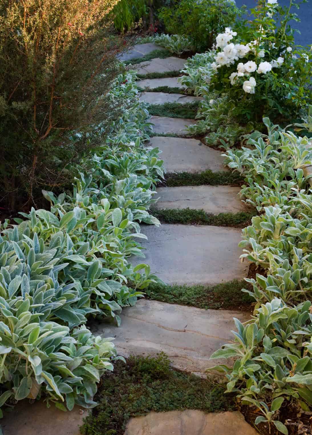 inspiring-garden-paths-walkways