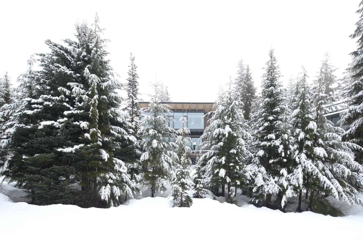 modern-alpine-ski-cabin-exterior