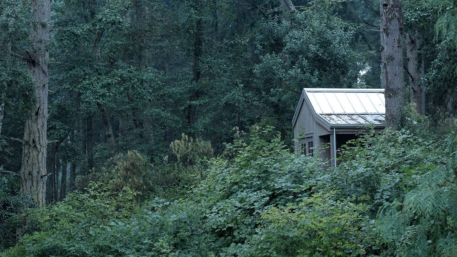 cabin-retreat-exterior