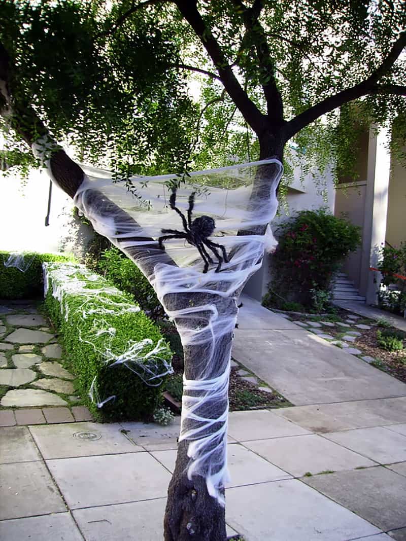 creepy-spider-in-a-tree
