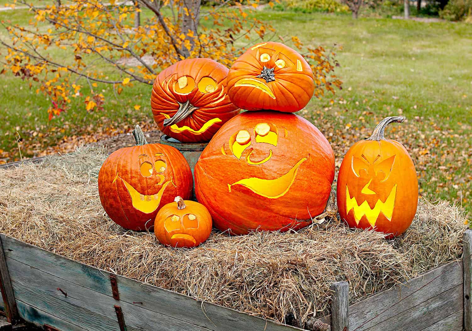 unique-pumpkin-carving-ideas-halloween