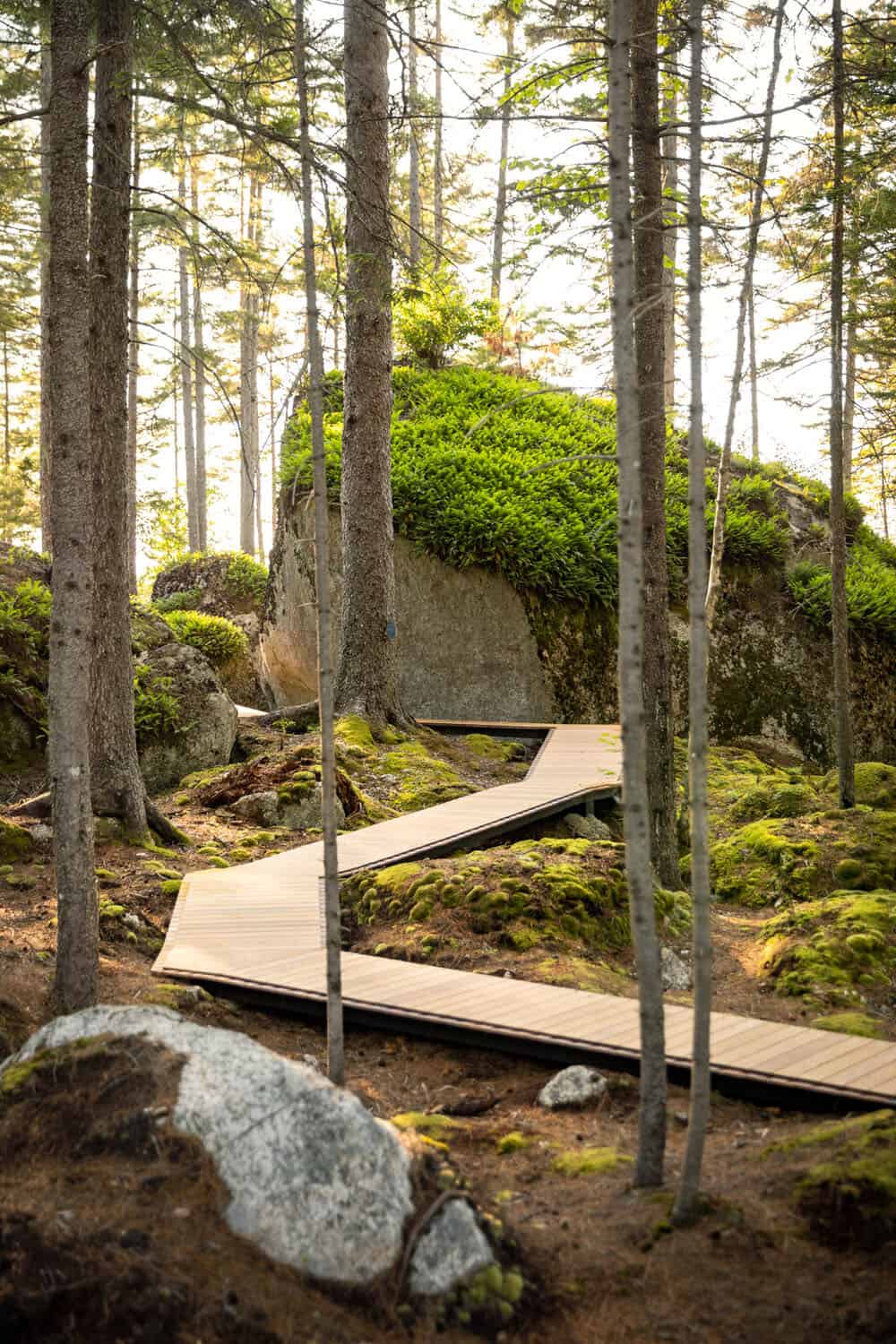 landscape-pathway-modern-cabin