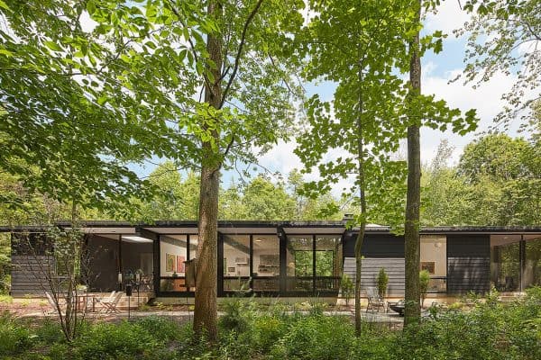 featured posts image for Charred wood wraps Michigan home that celebrates its woodland setting
