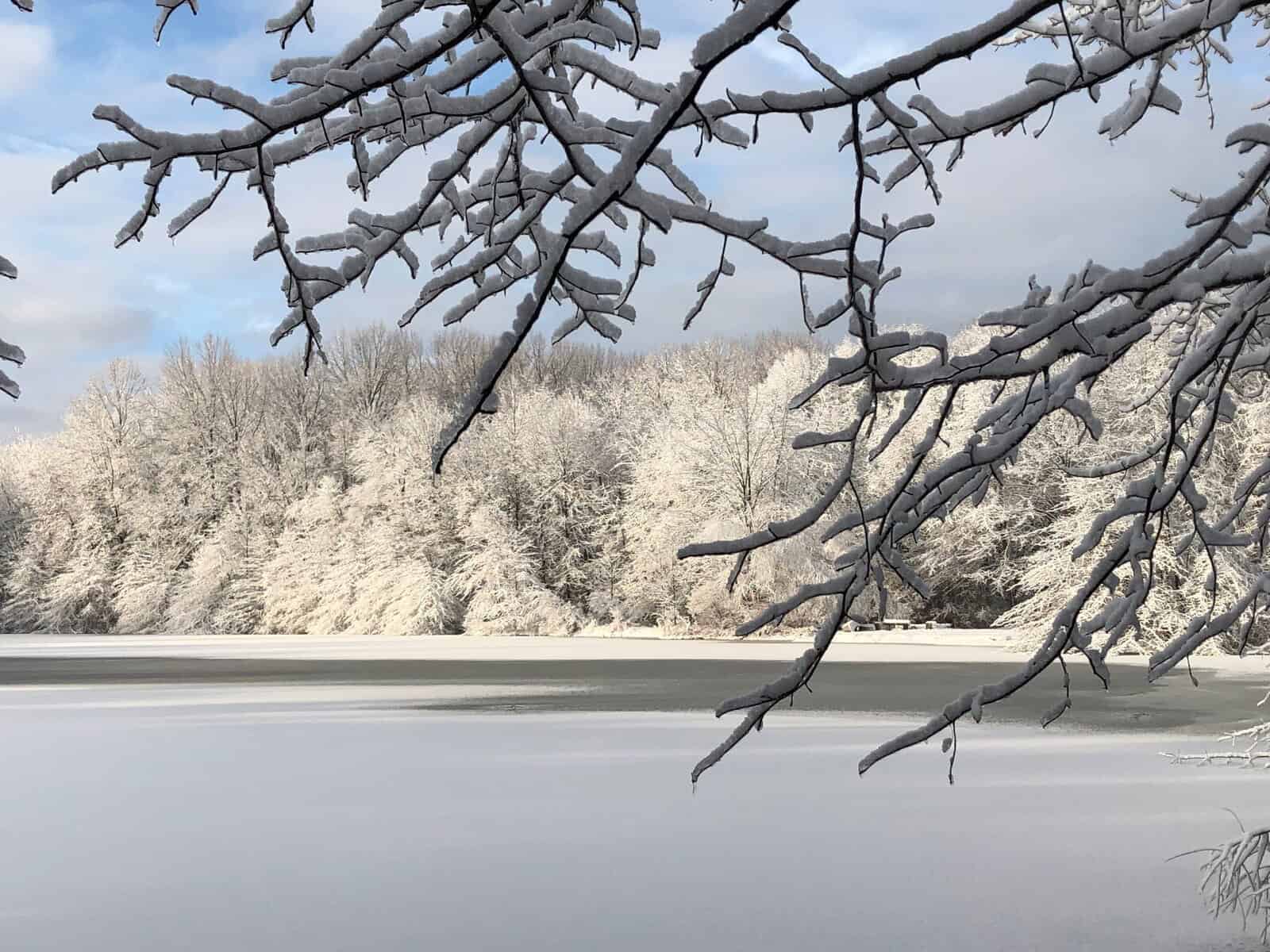 modern-woodland-retreat-exterior-lake-michigan-snow