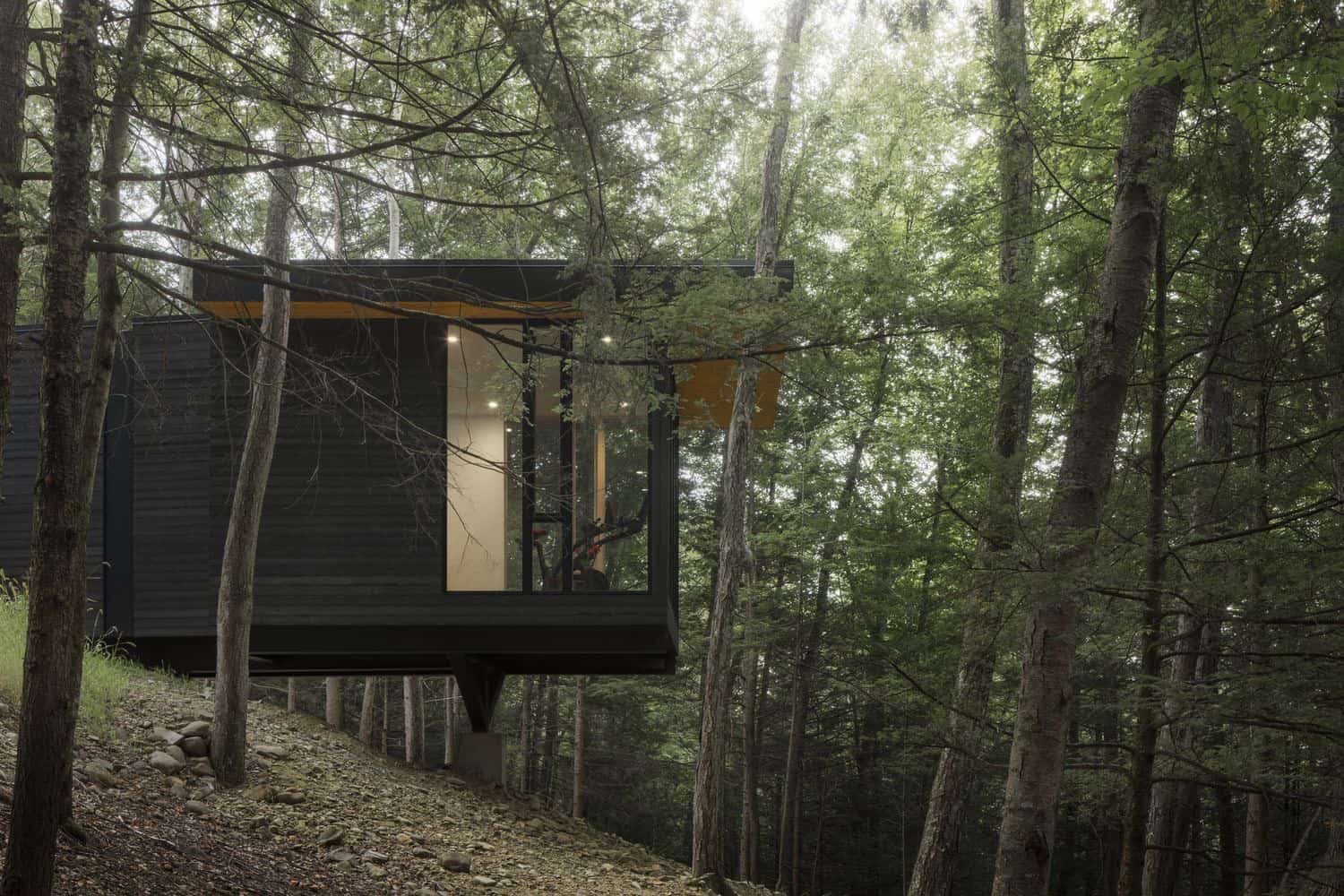 modern-forest-home-exterior