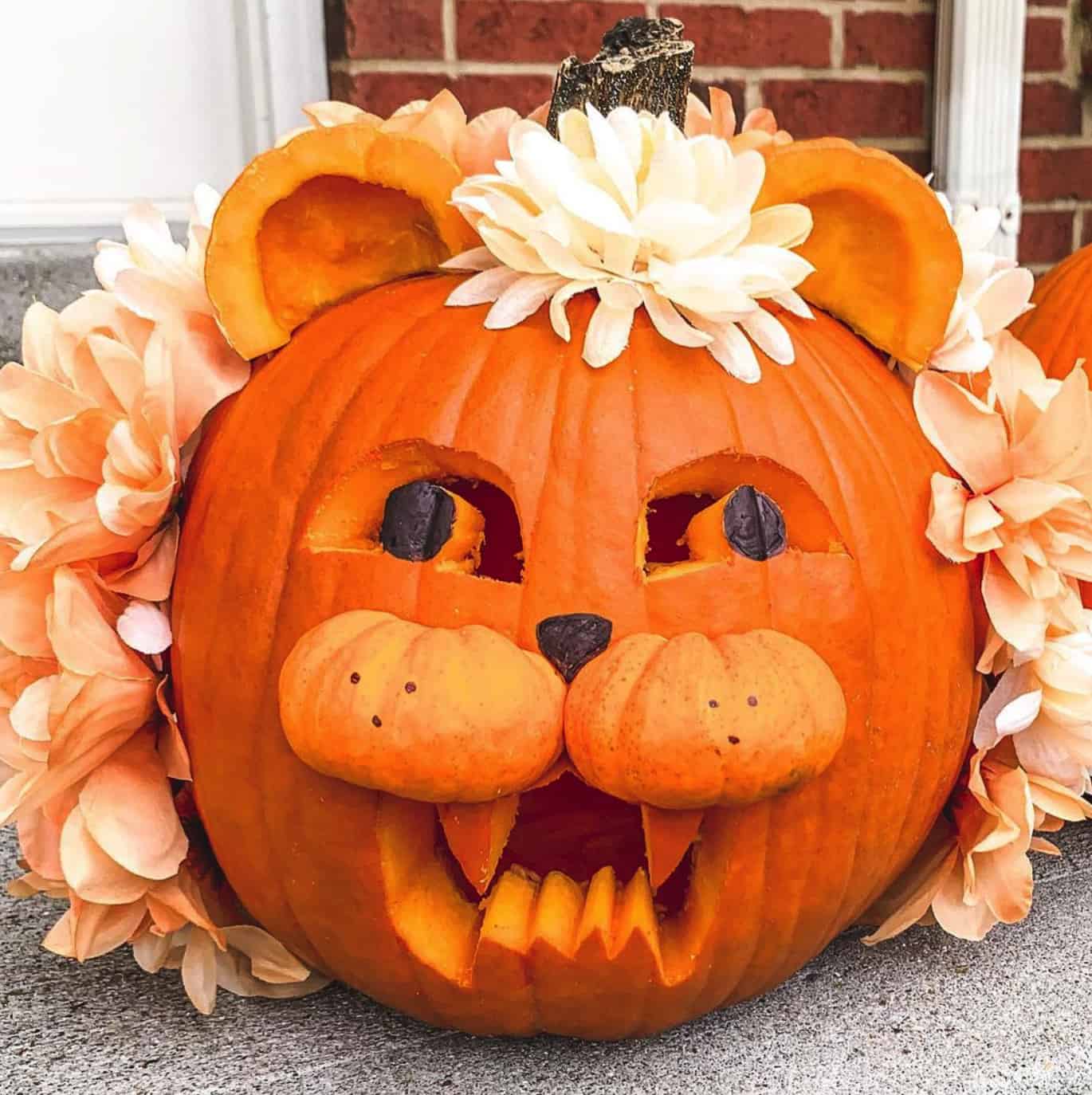 cute-pumpkin-lion