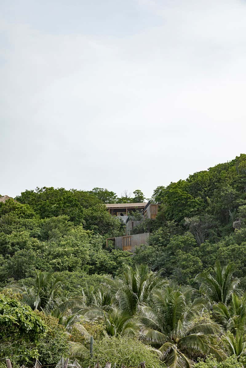 contemporary-hillside-home-landscape