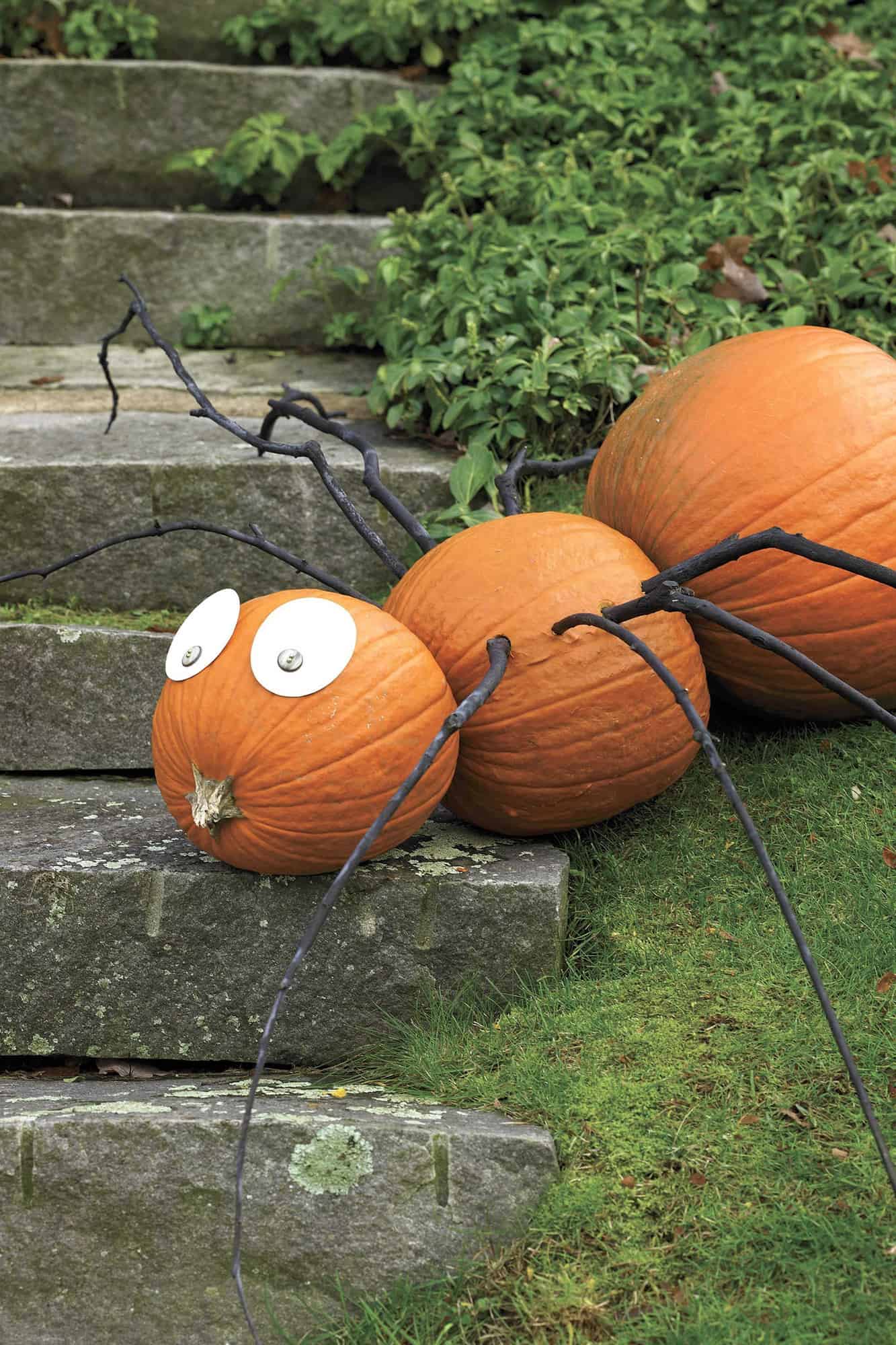 creepy-crawly-pumpkin-spider-best-diy-halloween-decorations