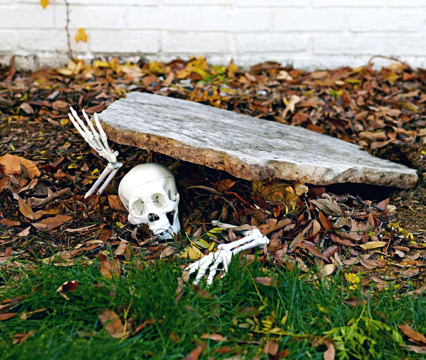outdoor-skeleton-best-diy-halloween-decorations