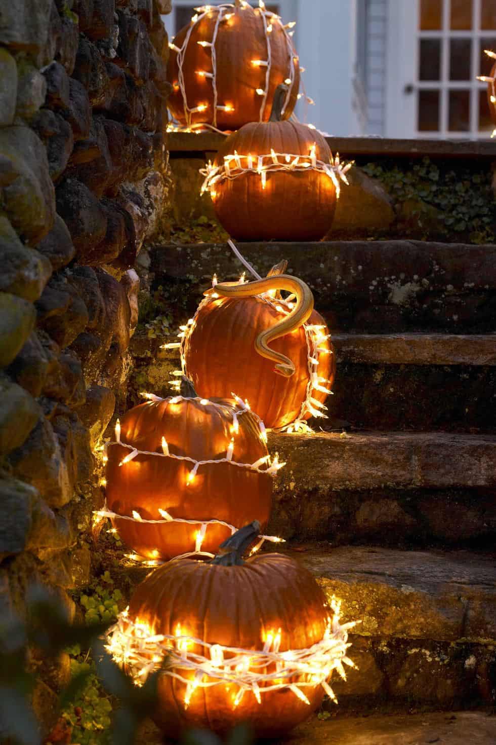 spooky-pumpkin-pathway-best-diy-halloween-decorations