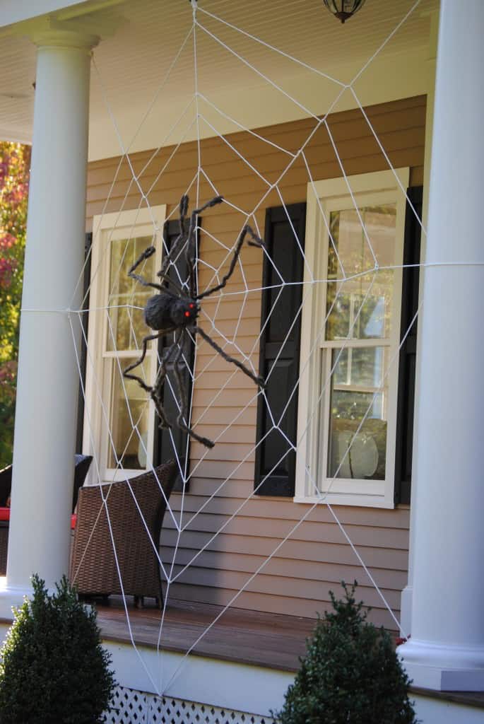 tangled-spider-web