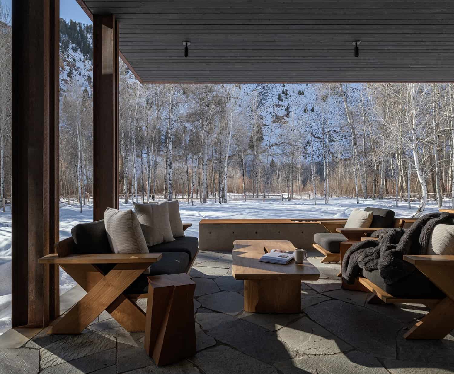 modern-barn-house-patio-with-views-of-snow