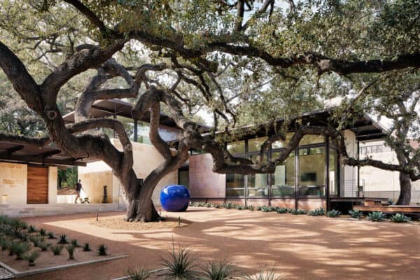 featured posts image for This beautiful San Antonio home is built around a majestic oak tree