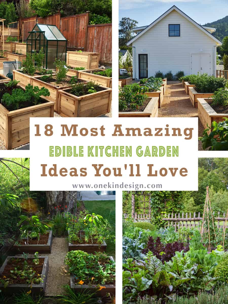 18 Of The Most Amazing Edible Kitchen Garden Ideas You'll Love