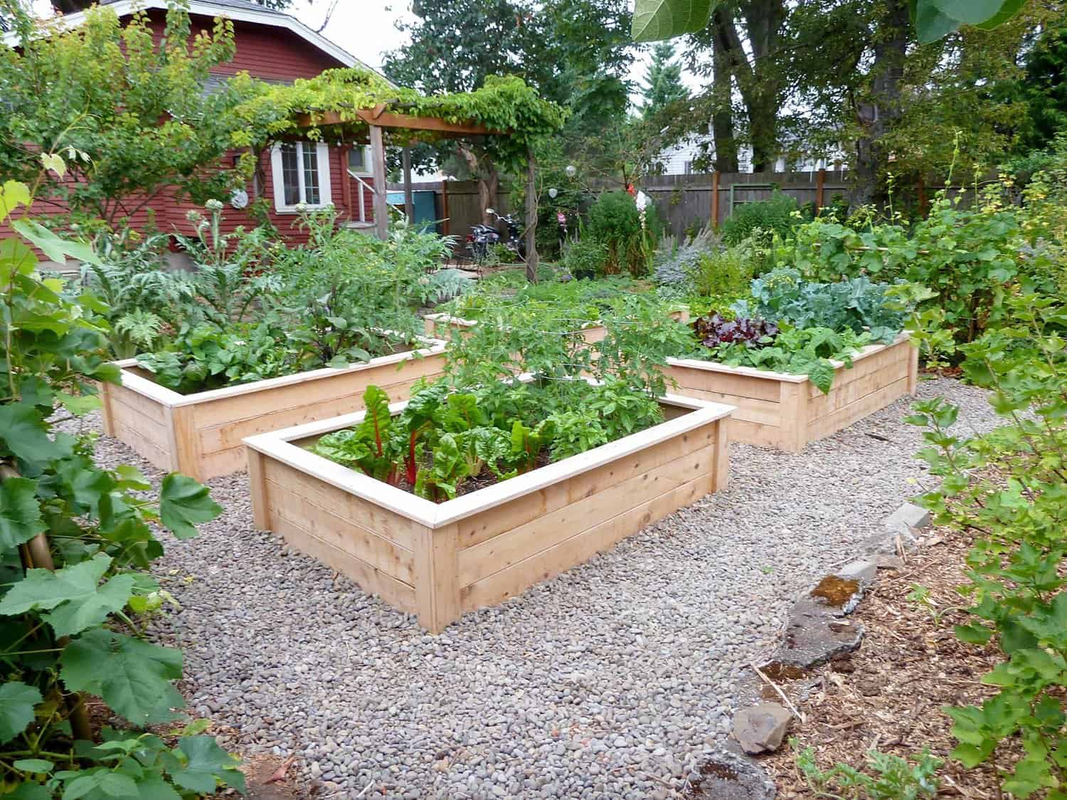 raised-planter-beds-with-vegetables-and-herbs
