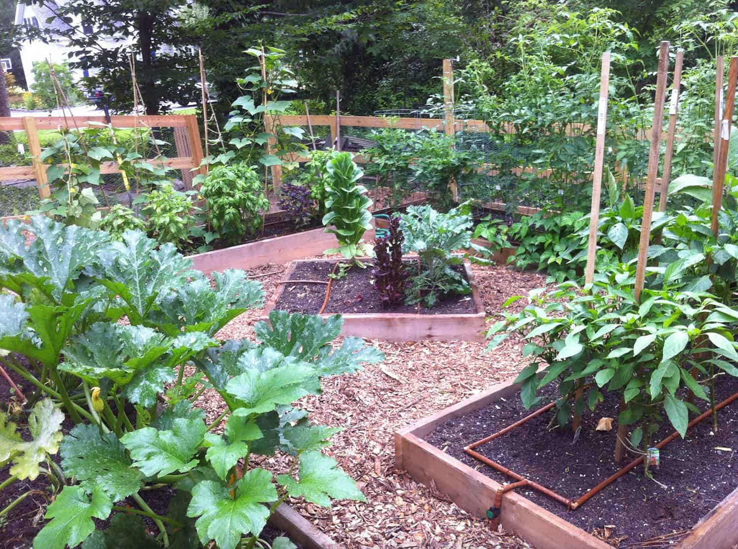 farm-to-table-garden