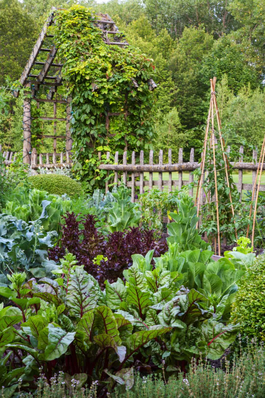 cottage-style-edible-kitchen-garden
