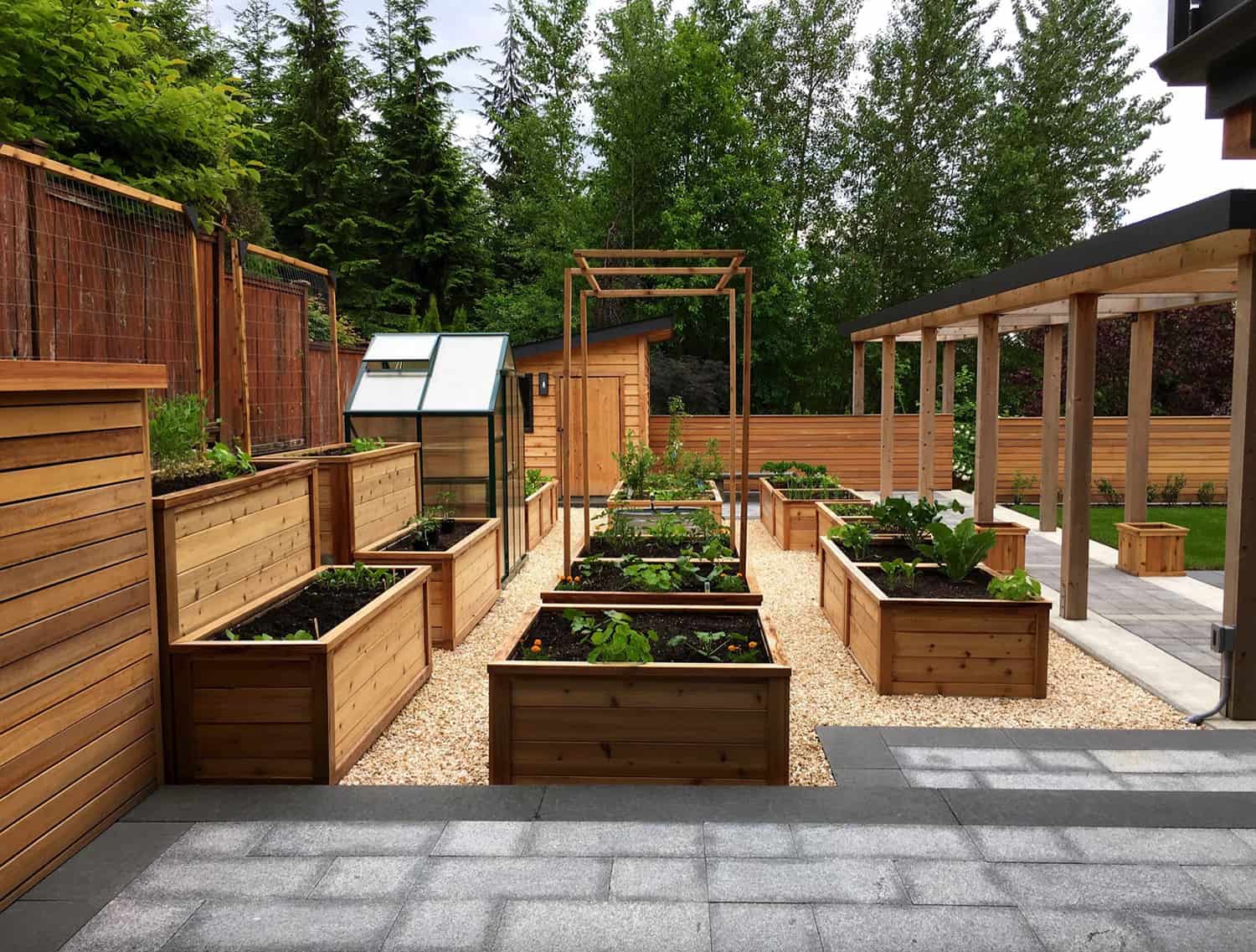 edible-kitchen-garden-with-raised-planter-beds