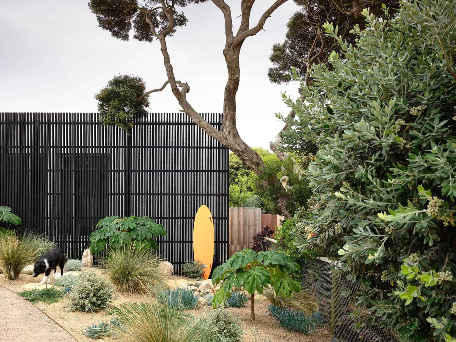 contemporary-home-exterior-with-a-black-timber-screen