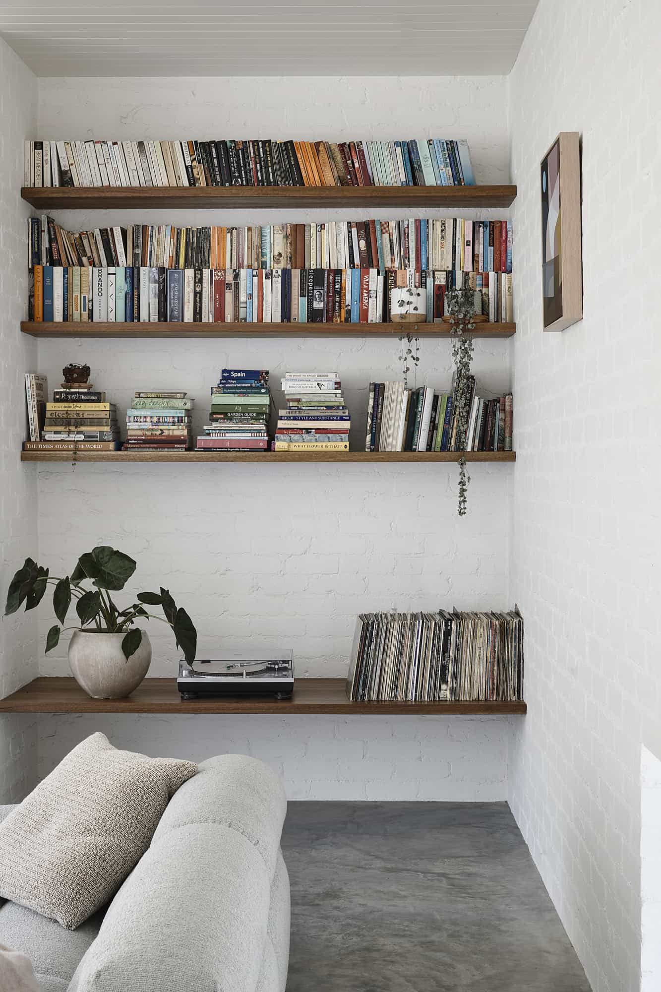 contemporary-living-room-book-shelf