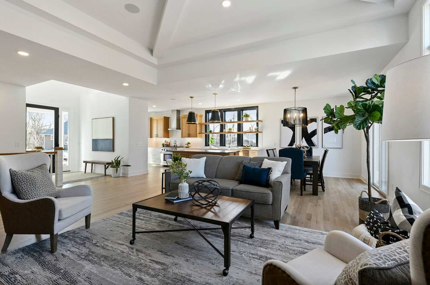 transitional-modern-living-room